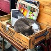 заказать рекламу у блоггера Аня Свердлова заказать рекламу у блоггера Аня Свердлова