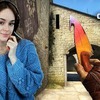 заказать рекламу у блоггера Виктория Писарева заказать рекламу у блоггера Виктория Писарева