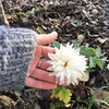 фотография Наталья Откосова фотография Наталья Откосова