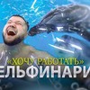 фотография masterildar фотография masterildar