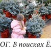 лучшие фото annagorinaa лучшие фото annagorinaa