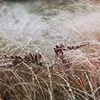 фотография Ольга Локертс фотография Ольга Локертс