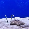 реклама в блоге Олеся Скуржинская реклама в блоге Олеся Скуржинская