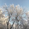 реклама у блоггера Юлия Медведева реклама у блоггера Юлия Медведева