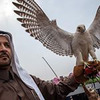 новое фото Илья Варламов новое фото Илья Варламов