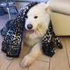 фото Наталина Клюева фото Наталина Клюева