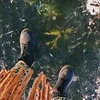 фотография Таша Tale фотография Таша Tale