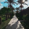 фотография Кирилл Иванов фотография Кирилл Иванов