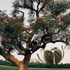 фотография Игорь Шмаков фотография Игорь Шмаков