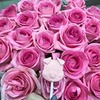 новое фото Наталья Queennatalisha новое фото Наталья Queennatalisha