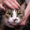 реклама на блоге Ольга Михневич реклама на блоге Ольга Михневич