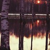 заказать рекламу у блоггера Сеня Миро заказать рекламу у блоггера Сеня Миро
