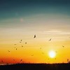 фото Сеня Миро фото Сеня Миро
