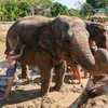новое фото Кристина Финк новое фото Кристина Финк