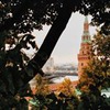 реклама на блоге Дмитрий Сурженко реклама на блоге Дмитрий Сурженко