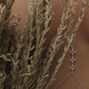фотография Анастасия Белова фотография Анастасия Белова