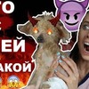 разместить рекламу в блоге madam_kaka разместить рекламу в блоге madam_kaka