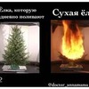 реклама у блоггера doctor_annamama реклама у блоггера doctor_annamama