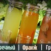 заказать рекламу у блоггера grillkov заказать рекламу у блоггера grillkov