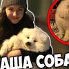 реклама у блоггера any_mur07 реклама у блоггера any_mur07