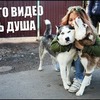 реклама у блоггера lida_koppalina реклама у блоггера lida_koppalina