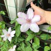 новое фото с Ириной Готовим новое фото с Ириной Готовим