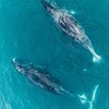 лучшие фото Дмитрий Куликов лучшие фото Дмитрий Куликов