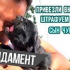 лучшие фото gleb_kornilov лучшие фото gleb_kornilov