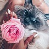 заказать рекламу у блоггера Тата Стетс заказать рекламу у блоггера Тата Стетс