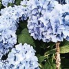 разместить рекламу в блоге Наталья Попова разместить рекламу в блоге Наталья Попова
