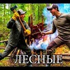 заказать рекламу у блоггера Денис Емцев заказать рекламу у блоггера Денис Емцев