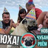 фото на странице gleb_kornilov фото на странице gleb_kornilov