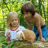 реклама у блоггера Александр Журавлев реклама у блоггера Александр Журавлев