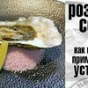 реклама в блоге Slava Cook реклама в блоге Slava Cook
