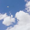 новое фото Анастасия Борщ новое фото Анастасия Борщ