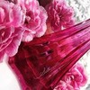 фотография Азалия Каплински фотография Азалия Каплински