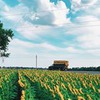 реклама на блоге Натали Litanaa реклама на блоге Натали Litanaa
