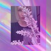 реклама у блоггера Вика Vikki_chu реклама у блоггера Вика Vikki_chu
