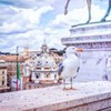 фото Юлия Фетисова фото Юлия Фетисова