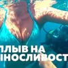 заказать рекламу у блоггера maksimov_dy заказать рекламу у блоггера maksimov_dy