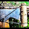 разместить рекламу в блоге Денис Емцев разместить рекламу в блоге Денис Емцев