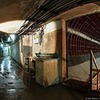 фото Макс Полазов фото Макс Полазов