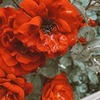 реклама в блоге Анастасия Борисова реклама в блоге Анастасия Борисова