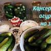реклама на блоге fleshka89 реклама на блоге fleshka89