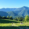 заказать рекламу у блоггера Любовь Соболева заказать рекламу у блоггера Любовь Соболева