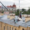 реклама на блоге Екатерина Голанд реклама на блоге Екатерина Голанд