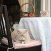 лучшие фото Анна Гражевская лучшие фото Анна Гражевская