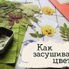 заказать рекламу у блоггера masherisha.art заказать рекламу у блоггера masherisha.art