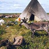 лучшие фото Михаил Ронкаинен лучшие фото Михаил Ронкаинен