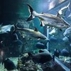 фотография Елизавета Лыскова фотография Елизавета Лыскова